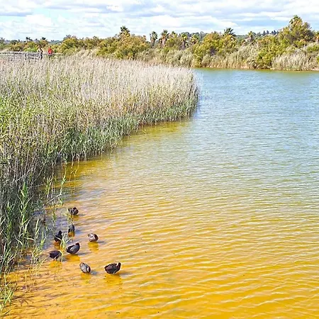 Διαμέρισμα Casa Dos Salgados *