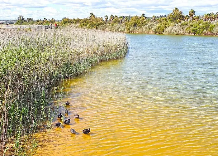 アパート Casa Dos Salgados *